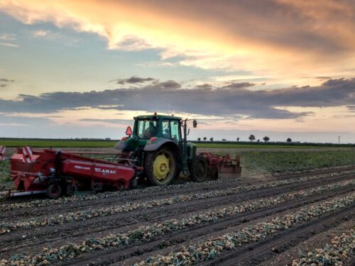 VSS AMAC Faneuse d'oignon