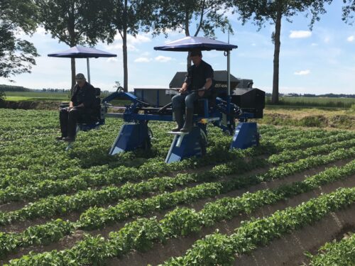 Selectiewagen VSS Agro